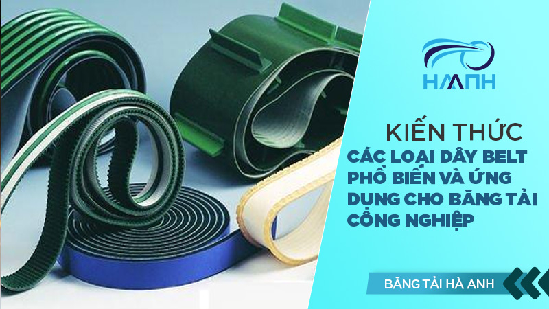 Các loại dây belt phổ biến và ứng dụng cho băng tải công nghiệp