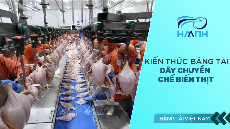 Dây chuyền chế biến thịt