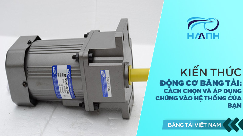 Động cơ băng tải: Cách chọn và áp dụng chúng vào hệ thống của bạn