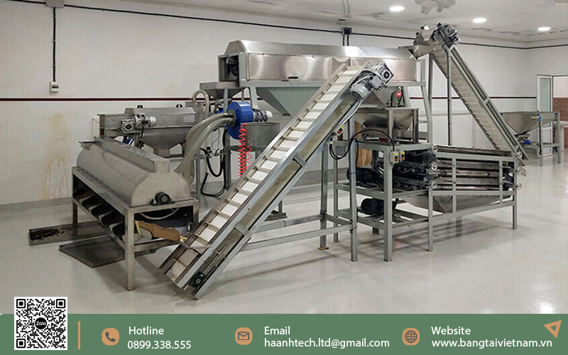 Máy sản xuất hạt điều