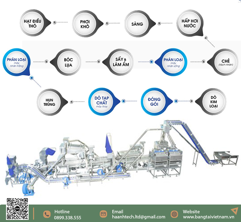 Quy trình sản xuất hạt điều